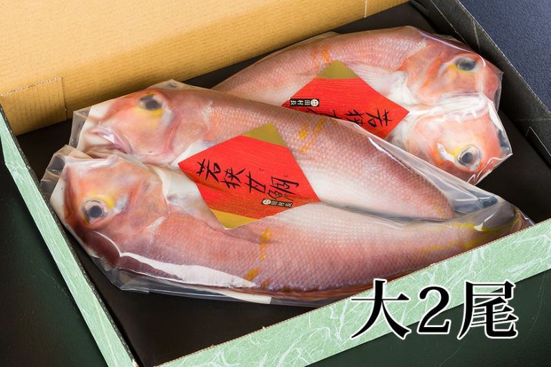 浜汐若狭甘鯛（アカアマダイ）大2尾